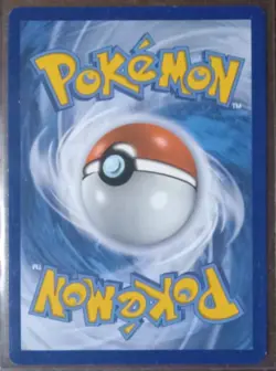 Arceus V SWSH204 SWSH: Sword & Shield Promo Cards Holo - Image 2