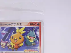 *Sealed!!* Pokemon Card Pokepark's Torchic 047/PCG-P Promo Japanese US Seller - Image 4