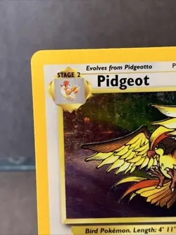 Pokemon TCG Pidgeot #8/64 Jungle Set Unlimited Holo Rare WOTC VTG 1999 LP - Image 2