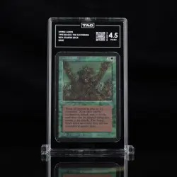 TAG graded MTG Beta Living Lands - Image 1