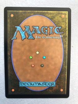 Mtg Carte Magic Assassin's Creed Fiery Islet Borderless FOIL NM - Image 2