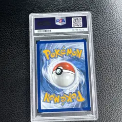 PSA 8 Horsea 2024 Shrouded Fable 067/064 Illustration Rare Pokemon Card - Image 4