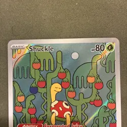 Shuckle 136/132 - Pokemon TCG - Mega Evolution Illustration Rare Holo - M/NM - Image 2