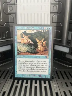 Cultural Exchange Odyssey Regular - Image 1