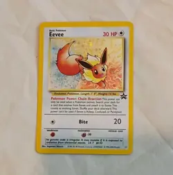 Pokemon Eevee #11 TCG Holo Black Star Promo Card Wizards - Image 3