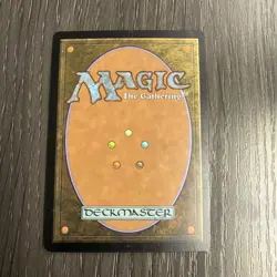 Misty Rainforest, Zendikar (ZEN) #220 NM MTG - Image 2