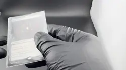 [Mox Jasper] (Showcase) - Tarkir: Dragonstorm (TDM) +5 Free Cards - Image 2