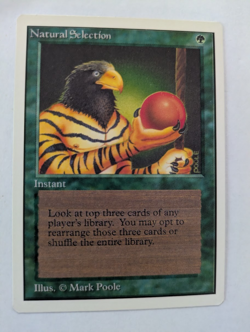 Natural Selection Unlimited MTG NM Free shipping with tracking - Image 1