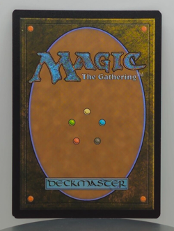 Foil - Oakhame Adversary - Throne of Eldraine - ELD - 167/269 - MTG - Image 2