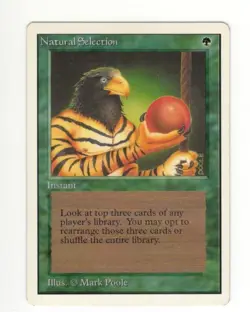 Natural Selection. Unlimited. NM. MTG. Magic the Gathering - Image 1