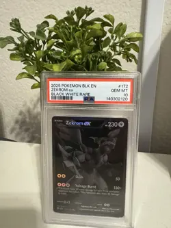 Pokemon TCG Zekrom ex 172/086 Sv: Black Bolt EX Holo Black White Rare PSA 10 - Image 3