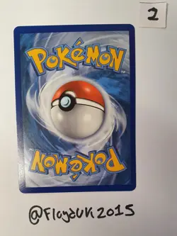 Raichu GX SM213 Black Star Promo Holo Card Pokemon TCG - Image 2