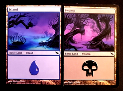 GirlGames - MTG LP SHADOWMOOR PANORAMIC COLLECTOR SET - BASIC LAND 1X EACH - SHM - Image 2