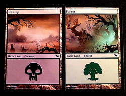 GirlGames - MTG LP SHADOWMOOR PANORAMIC COLLECTOR SET - BASIC LAND 1X EACH - SHM - Image 3