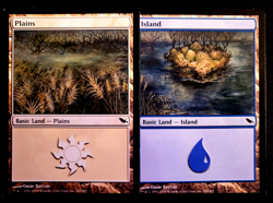 GirlGames - MTG LP SHADOWMOOR PANORAMIC COLLECTOR SET - BASIC LAND 1X EACH - SHM - Image 5