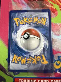 SEALED Pokemon Mega Charizard X EX #23 & Oricorio EX Holo # 24 MEP EN Promo Set - Image 5