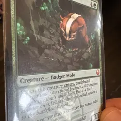 Badgermole Cub - HP / DMG - MTG Magic the Gathering non foil - Image 2