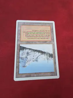 MTG - Taiga - Revised - Dual Land - Image 2