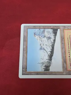 MTG - Taiga - Revised - Dual Land - Image 3