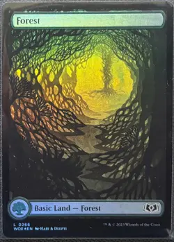 MTG Wilds of Eldraine Full Art Forest Foil (Common) - Image 1