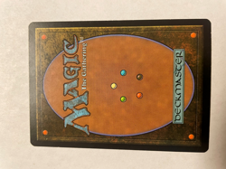 Elvish Promenade Lorwyn Regular Unused Never been played with Must see!!!!!!!!!! - Image 2