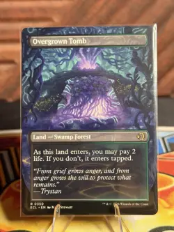 Overgrown Tomb (Borderless) Lorwyn Eclipsed Regular - Image 2