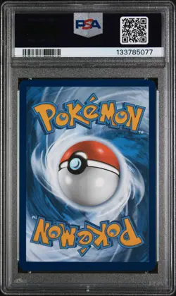 2025 Pokemon Wht En-White Flare #105 Oshawott Illustration Rare PSA 9 - Image 2