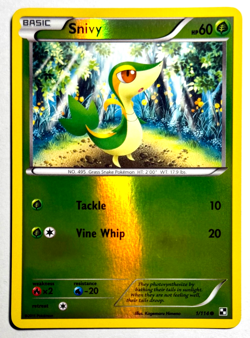 Pokemon TCG - Snivy, Basic, Reverse Holo, 1/114, Black & White, Near Mint - Image 1