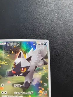 Pokemon Trading Card Game Poochyena 208/172 S12a Vstar Universe AR Holo Japanese - Image 4
