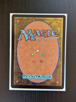 RHYS, THE EVERMORE Extended Art Rare Lorwyn Eclipsed Near Mint MTG - Image 2