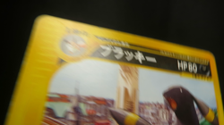 【LP】Umbreon - 025/P 025P P Promotional Cards Regular (Japanese) - Image 2