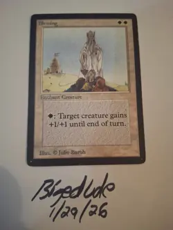 MTG Beta Blessing - See Pics for Condition - bigedude - Image 1