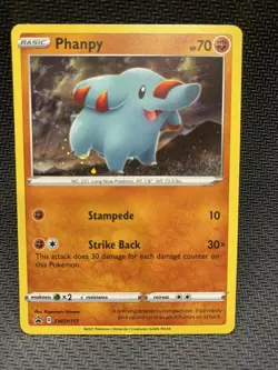 Phanpy SWSH117 Sword & Shield Promo 2021 Black Star Promo Holo Pokemon TCG - - Image 1