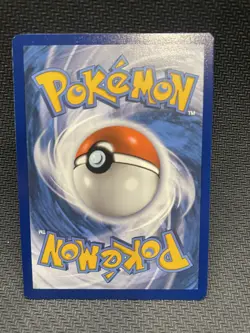 Phanpy SWSH117 Sword & Shield Promo 2021 Black Star Promo Holo Pokemon TCG - - Image 2