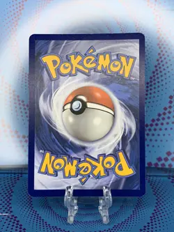 Toxel SWSH209 Cosmos Holo 2022 Pokemon Black Star Promo NM 🔥🔥🔥 - Image 2