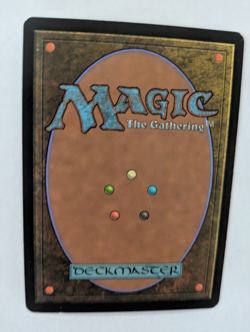 Minamo, School at Water's Edge Champions of Kamigawa MTG NM Free ship with track - Image 2