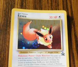 Eevee "Swirl" Holo Pokemon Black Star Promo Card #11 Pokemon League 2001 - Image 5