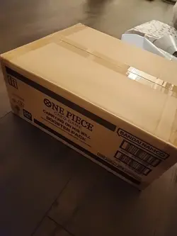 One Piece TCG Sealed Case 12x Booster Box OP13 - ENGLISH Carrying On His Will - Image 1