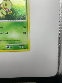 Pokemon TCG - Turtwig DP01 Black Star Promo - Diamond & Pearl - w/Swirl - Image 3