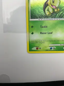 Pokemon TCG - Turtwig DP01 Black Star Promo - Diamond & Pearl - w/Swirl - Image 4