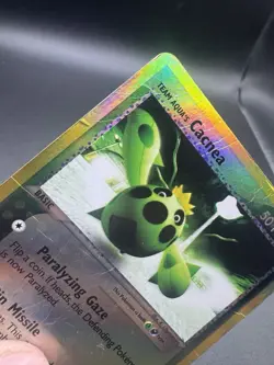 Pokemon Card - Team Aqua's Cacnea Team Magma vs Team Aqua 24/95 Reverse Holo DMG - Image 3