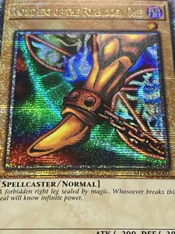 Exodia Set | Quarter Century Secret Rare + Incarnate | Starlight Rare | YuGiOh! - Image 2
