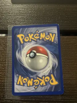 Pokemon Cradily 3/100 EX Sandstorm Holo Rare Card , LP - Image 2