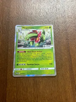 Pokemon TCG Bahasa Indonesia Language Meganium Upnormal Promo 079/SM-P - Image 1