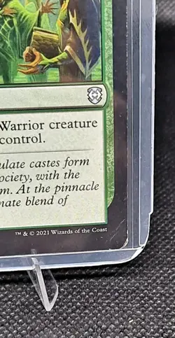 x1 Elvish Promenade | Kaldheim Commander | English LP | Steve Ellis | 059 - Image 2