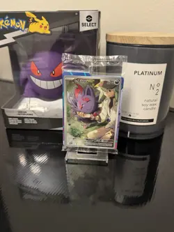 N's Zorua SVP189 - Journey Together ETB Promo - Pokemon Card - Sealed - Image 1