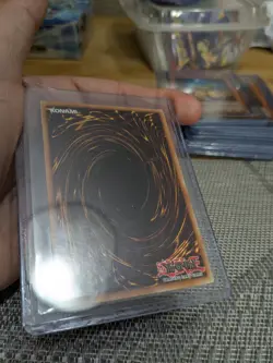 D.D. Warrior Lady Super Rare Dark Crisis DCR-027 - LP / NM - unlimited - Image 5