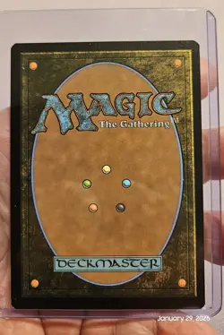 🔥 MTG - Ajani, Outland Chaperone - FOIL Lorwyn Eclipsed Mythic #004 NM 🔥 - Image 3