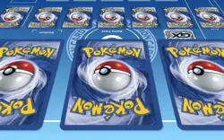 Pokemon S-Chinese Sun&Moon CSMYC-008 Eevee GX Basic Card from Eevee Gift Box New - Image 2