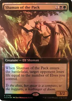 [1x] Shaman of the Pack (0789) - Foil - Extended Art - Extended Art Near Mint, E - Image 1